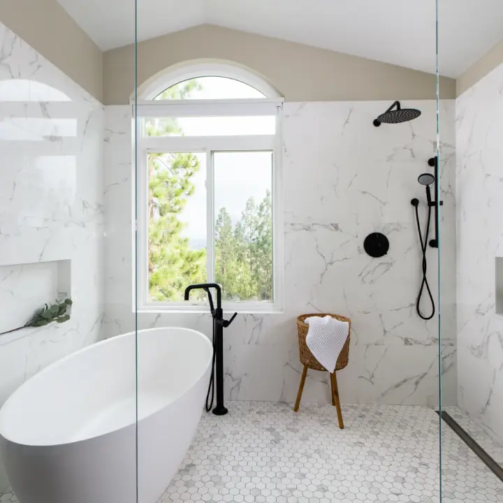 bathtub to shower Remodeling